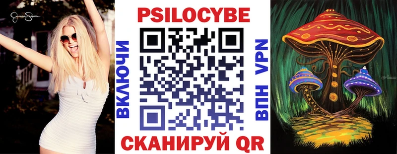 Галлюциногенные грибы Psilocybe  Купить закладки  Новохопёрск 